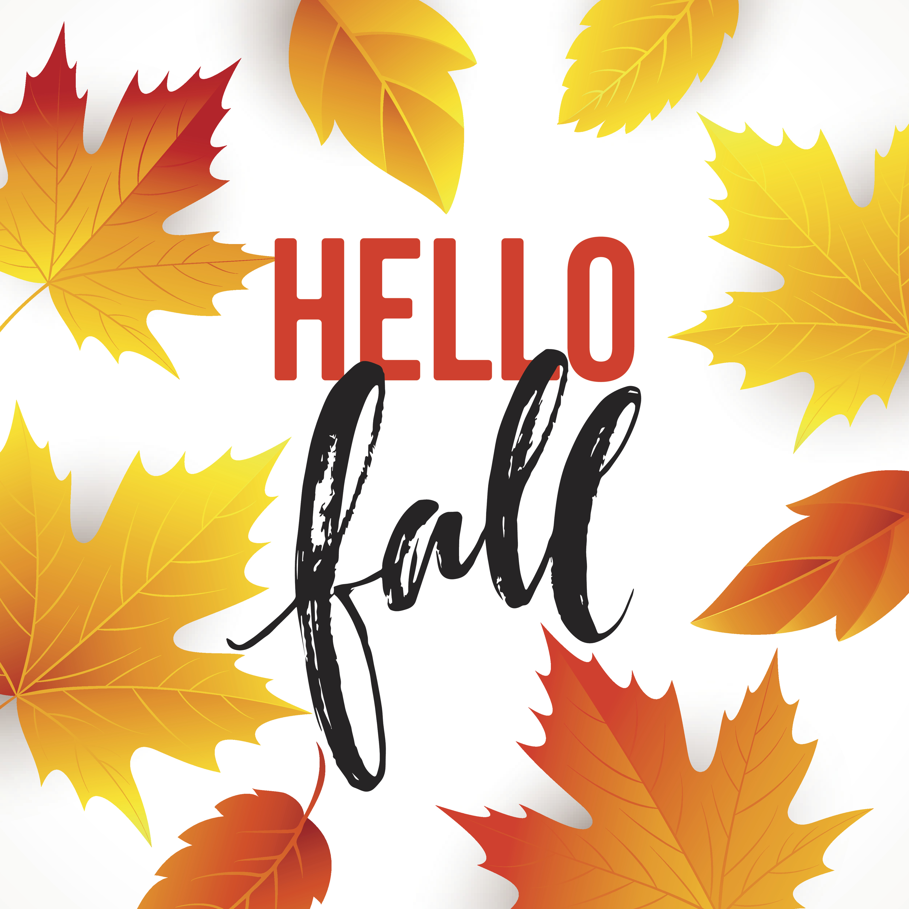 Happy First Day of Fall! B & B Enterprises Gonzales Inc